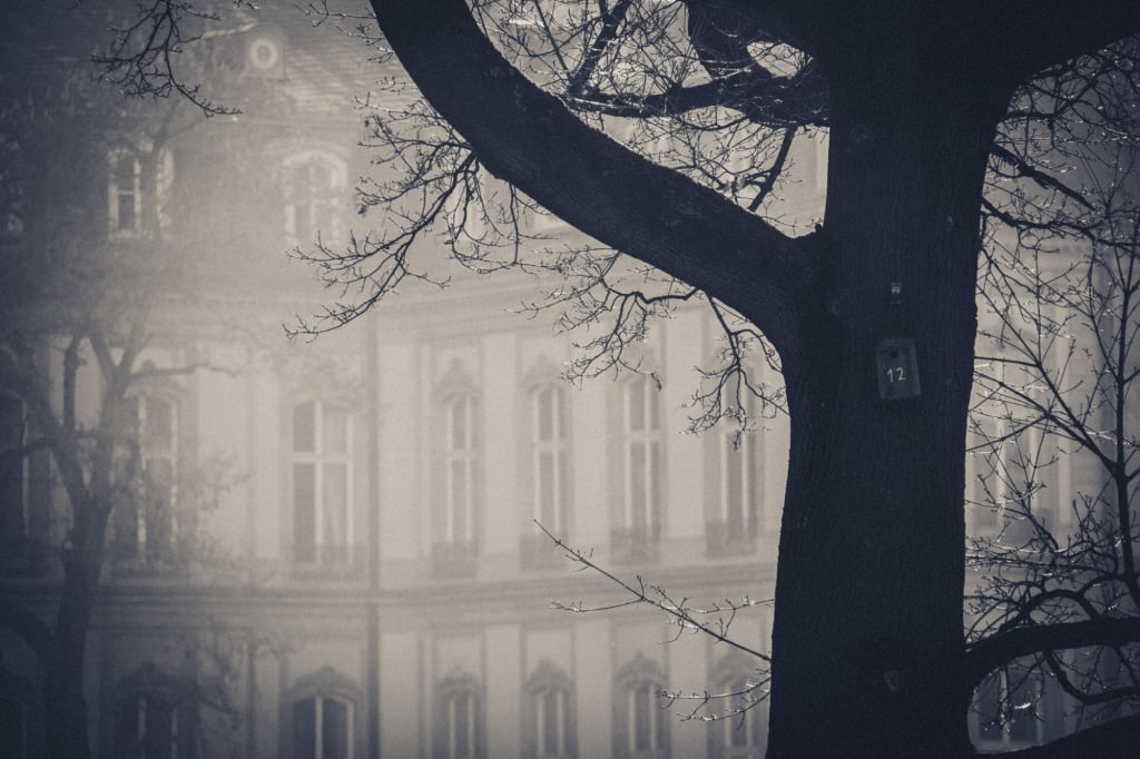 2013-03-03-Stuttgart-DW-3630