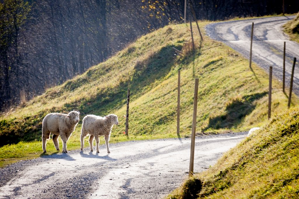 2013-11-02-Urlaub-Vals-DW-7499