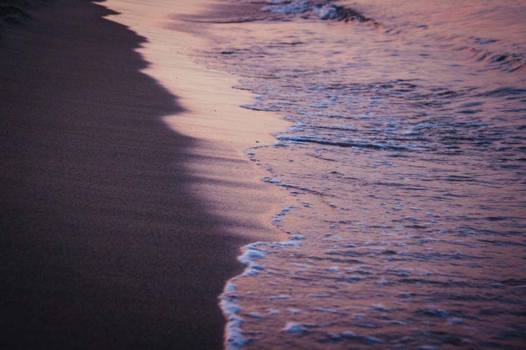 2014-08-30-Spanien2014-DW-9295