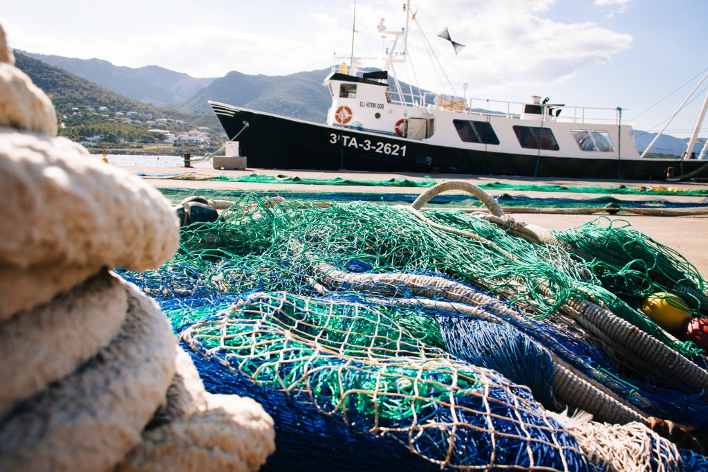 2014-08-31-Spanien2014-DW-9450