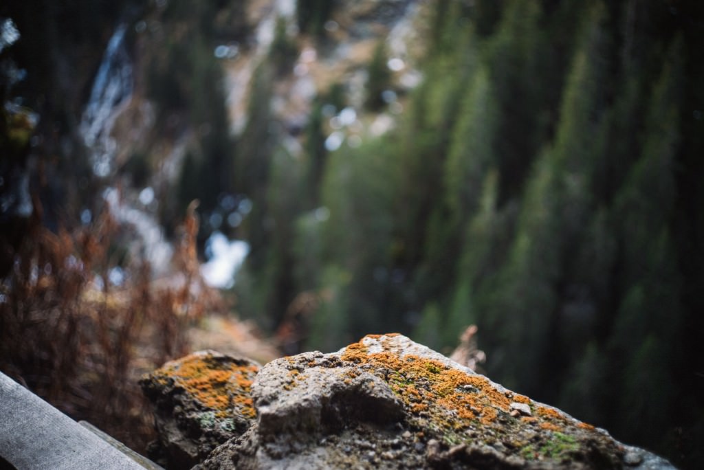 2014-11-14-Vals2014-DW-00495