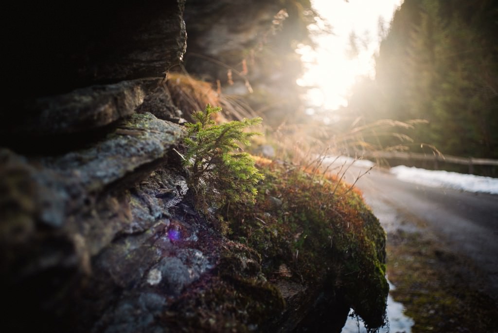 2014-11-14-Vals2014-DW-00547