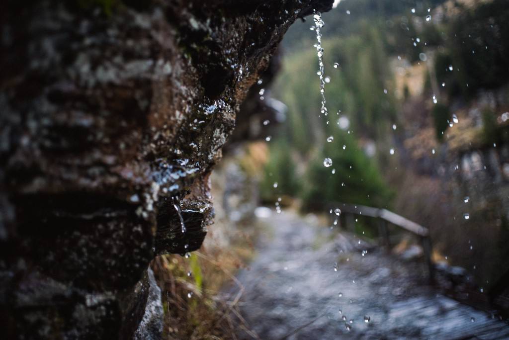 2014-11-14-Vals2014-DW-00598