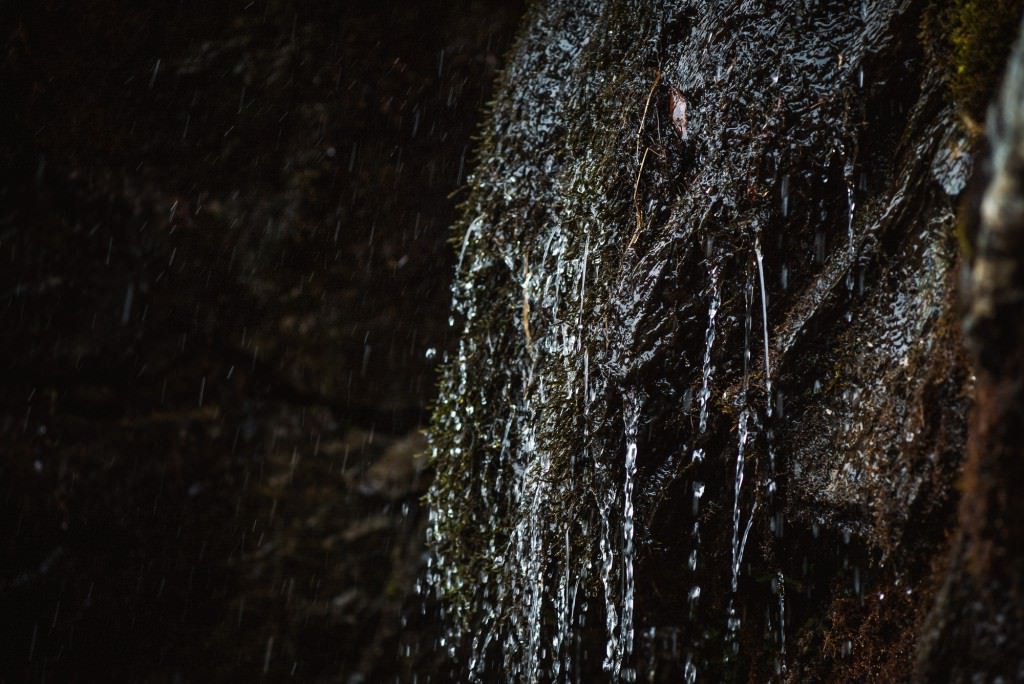 2014-11-15-Vals2014-DW-00782