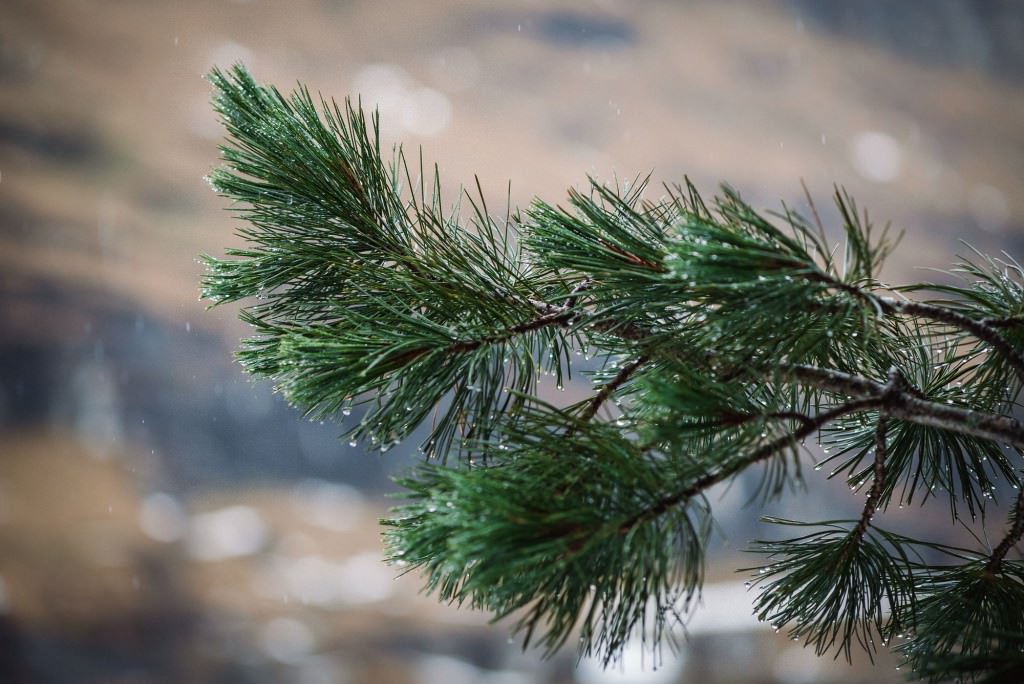 2014-11-15-Vals2014-DW-00806