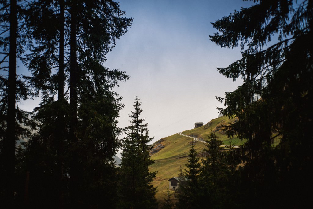 2014-11-15-Vals2014-DW-00849