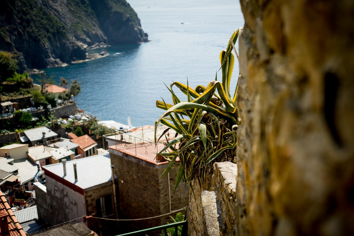 cinqueterre-3558