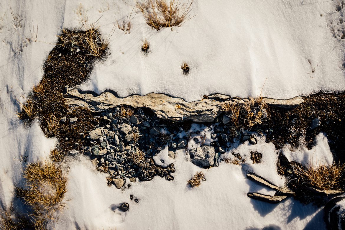 Schnee und Vegetation